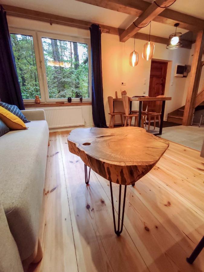 Vila Konwaliowe Zacisze - Chillout W Lesnej Aurze Wilga Exteriér fotografie